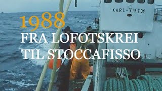 Fra lofotskrei til stoccafisso (tørrfisk) - 1988.