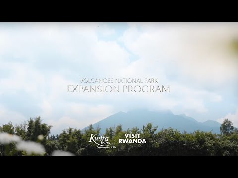 Video: Volcanoes National Park, Rwanda: Phau Ntawv Qhia Ua tiav