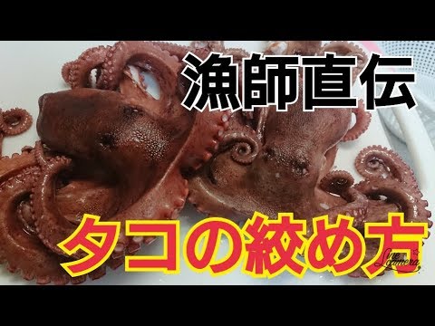 Fishingmax 垂水店 タコの絞め方 Youtube Fishingmax 垂水店 タコの絞め方 Youtube
