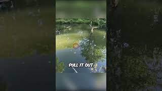 Download Lagu #filterchallenge MP3