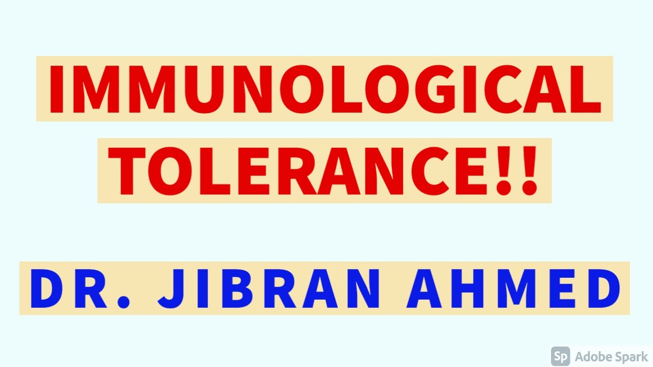 💥💥ИММУНОЛОГИЧЕСКАЯ ТОЛЕРАНТНОСТЬ💥💥II ОБЩАЯ ПАТОЛОГИЯ II ГЛАВА 6 II РОББИНС 10-Е ИЗДАНИЕ