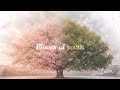 MV「Bloom fo youth