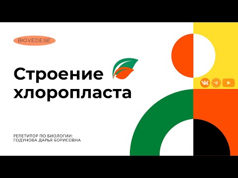 Строение хлоропласта за 5 минут (ДАЖЕ МЕНЬШЕ)