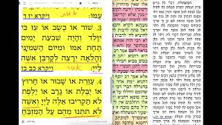 דף יומי מסכת יומא דף סג Daf yomi Yoma daf 63 שמואל נבון