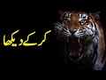 Life changing  powerful motivational in urdu most energetic motivational