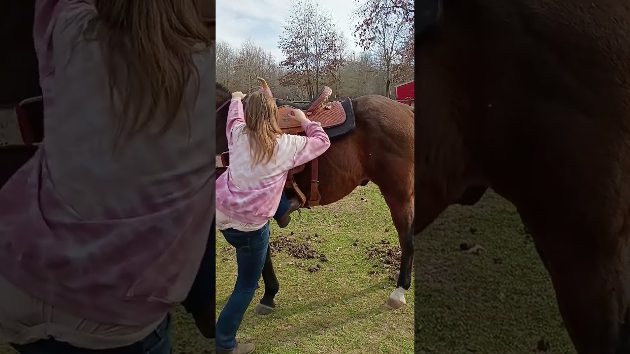 Wrangler Application Submission Riding Video 