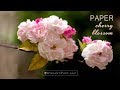 How to make paper cherry blossom from facial tissue