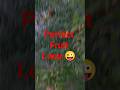 Perfect Fruit Loops trend #like #subscribe ✌️🫶