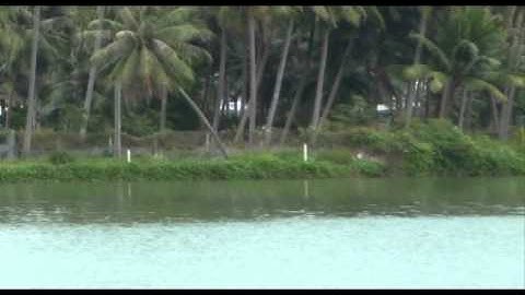 Vũ Anh - Sông Chiều / Thơ Ngô Đình Vận, Nhạc Lại Minh Thuận