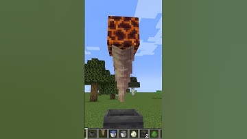 Minecraft Logic That Makes No Sense (part 1)