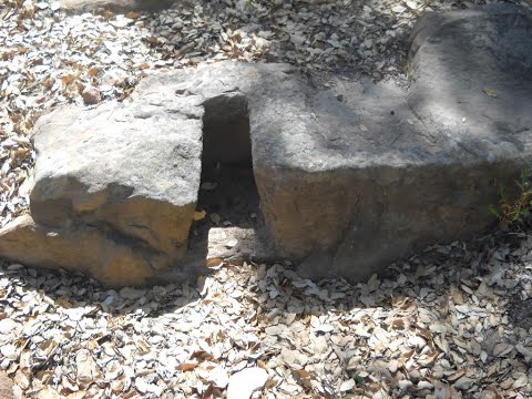 اشارت ركاب في الكنوز للحضرات السابقة         