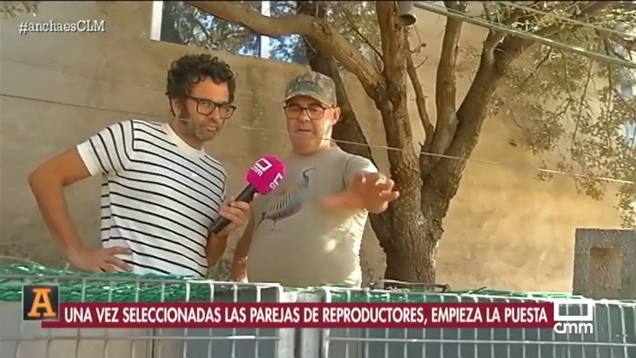 Granja de perdices en El Robledo, Ciudad Real | Ancha es Castilla - La Mancha