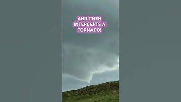Gizmo the storm chasing dog versus bison!