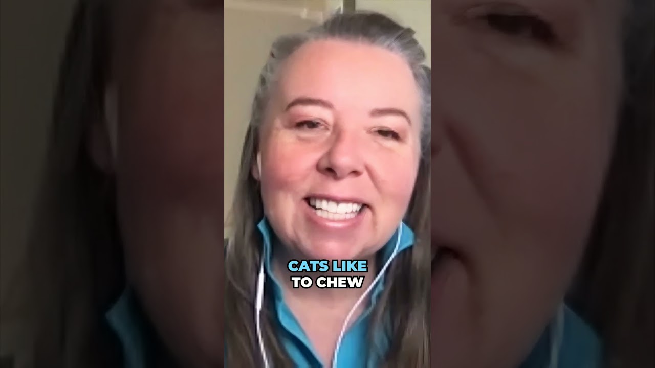 What makes Lost Coast Plant Therapy Perfect for Houseplants?