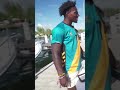 Wait I'm Feeding Sharks?