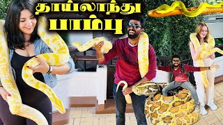 EXTREME !! சேட்டை செய்யும் பாம்பு  Snake Handling in Thailand  Snake park & Museum | DAN JR VLOGS