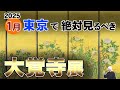 空前絶後の大覚寺展 @ 東京国立博物館 | 狩野山楽の代表作、琳派絵師・渡辺始興、他