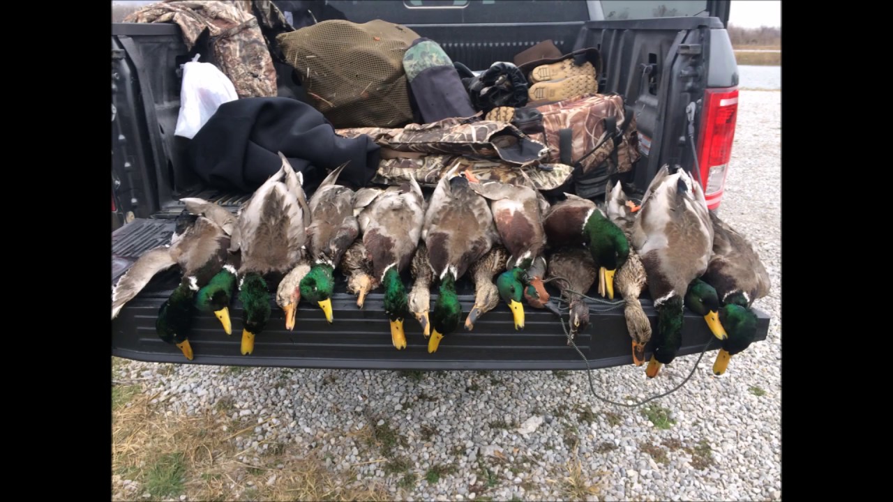 Missouri Duck and Goose Hunting YouTube