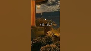 اللهم اجعل القرآن الكريم ربيع قلوبنا ونور صدورنا