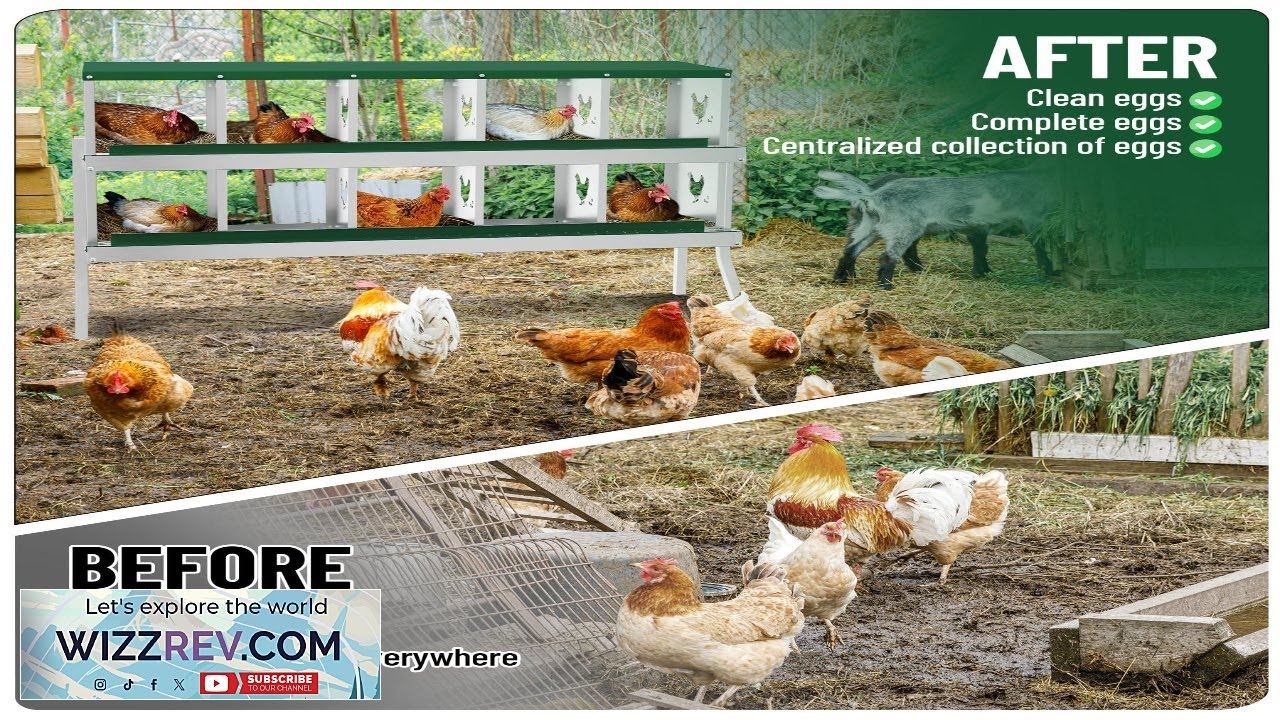 Гнезда для кур Garvee, 10-секционные, с приподнятой верхней полкой.