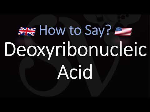 Dna Full Name | How To Pronounce Deoxyribonucleic Acid What Does Dna Stand For