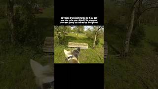 Si Fière De Voir Que Le Travail Paye