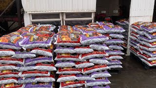 Coal pre packing