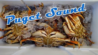 Puget Sound Winter Crabbing
