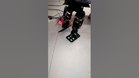 Biped Walking Robot