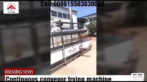 Samosa frying machine namak para continuous fryer gas frying machine,plantain chips frying machine