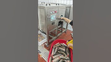 Fish fillet machine for fish