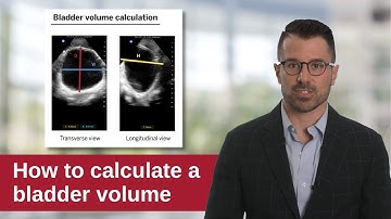 Bladder Ultrasound