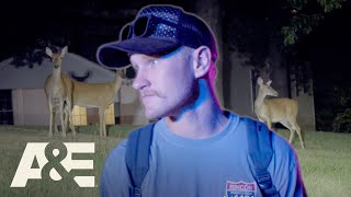 Deer Everywhere! Law Enforcement Aid Drivers Encountering Deer on the Road | Ozark Law | A&E