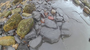 Fossil Hunting Episode 41, part 1- Sandsend 19.10.19