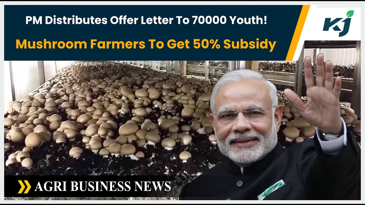 PM Distributes Offer Letter To 70000 Youth! | Mushroom Farmers To Get ...