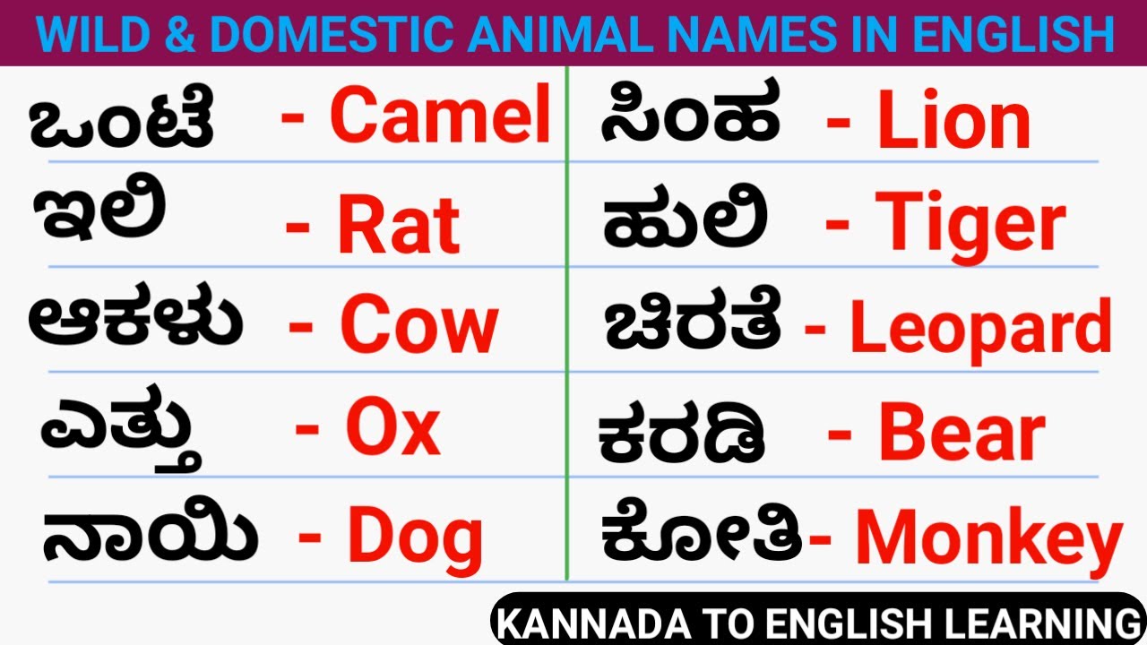 Animals name in English. Kannada to english learning. basicenglish 