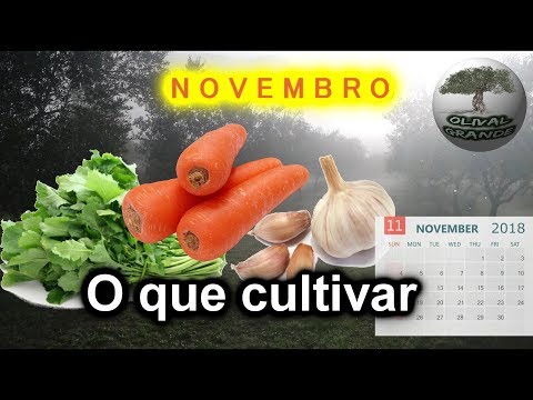 Video: Tronchuda-kålbruk – tips for dyrking av portugisiske kålplanter