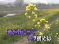 民謡 / コツコツ節  <大分>