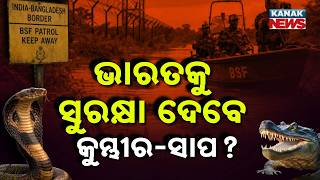 Special Report: BSF’S Bold Move | Snakes and Crocodiles To Guard India-Bangladesh Border?