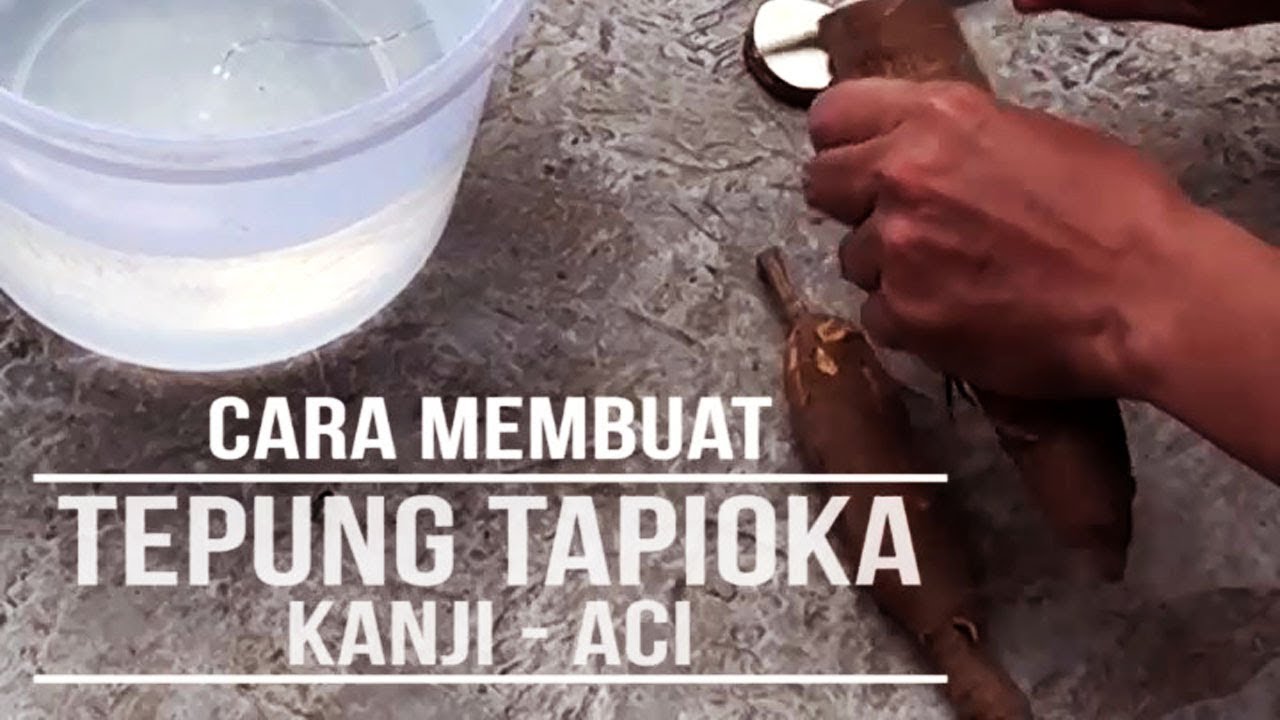 Cara Membuat Tepung Tapioka /Kanji /Aci (Homemade) - YouTube