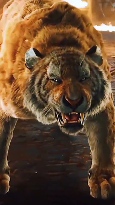 🔥 Pertarungan Epik: Singa vs Harimau! 🦁🐅 🔥