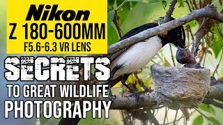 Nikon Z 180-600mm | SECRETS To Great Wildlife Photography