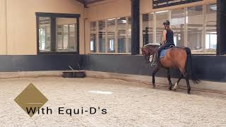 Equi-Ds Before And After