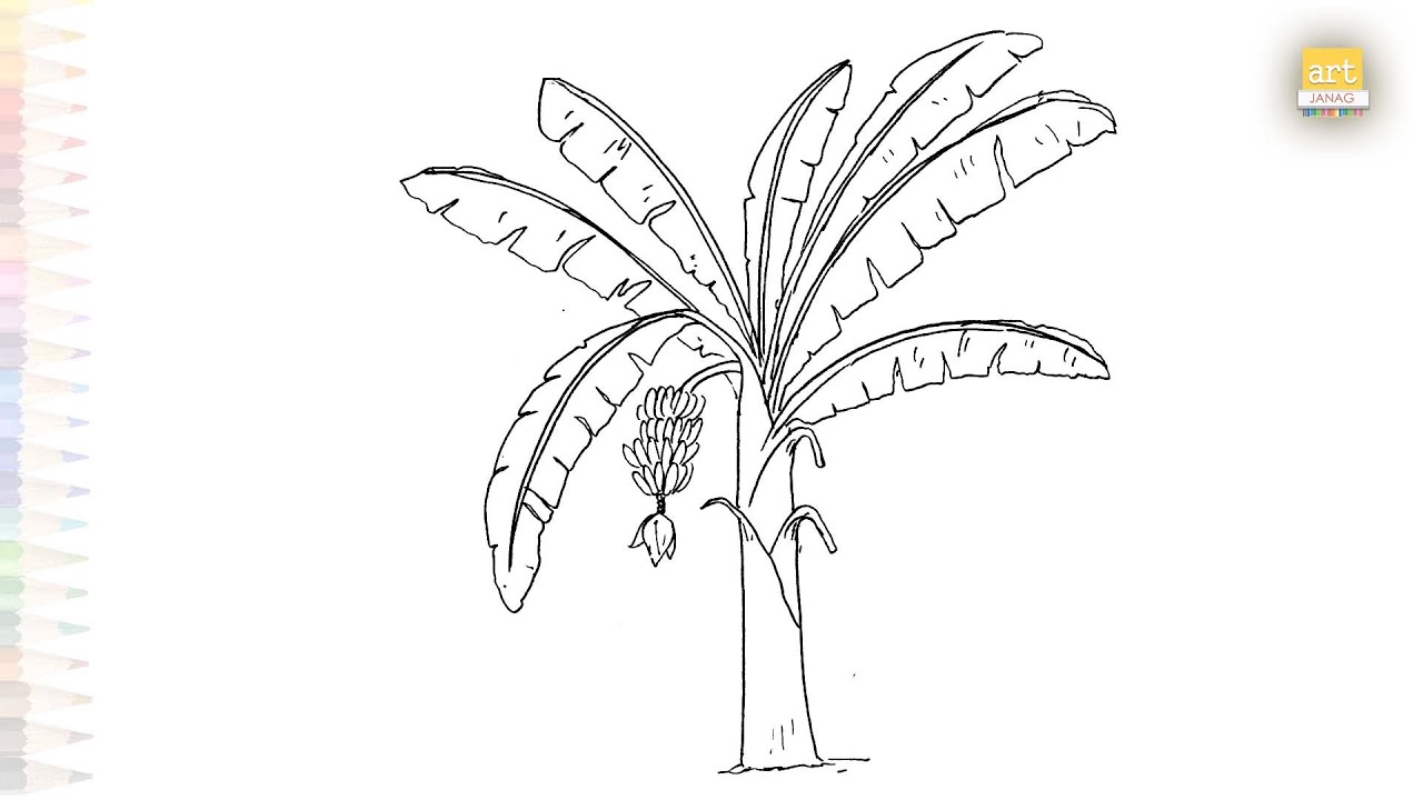 bamboo mini plant 6' Mini Bamboo Silk Tree main image 0
