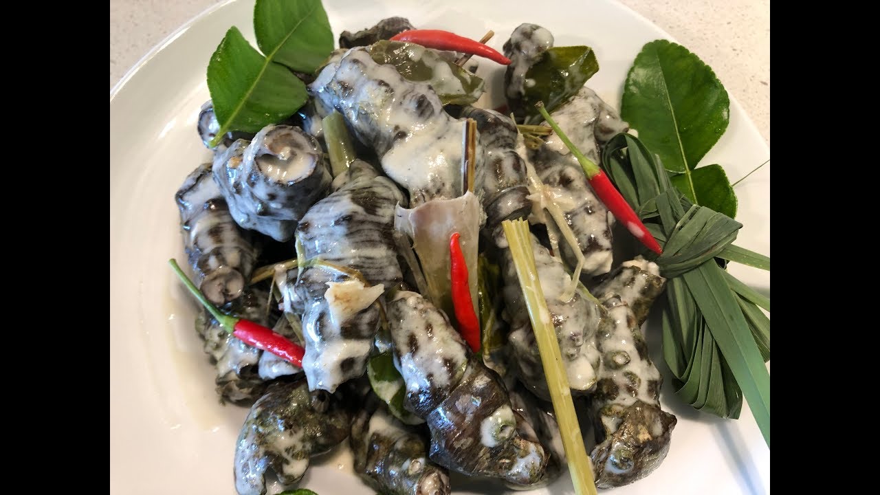 Пищевой алхимик: поездка в Хоксбери (собирательство дикорастущих растений на побережье), конусови...