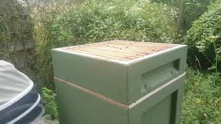 Beekeeping - Combining Two Hives Using Newspaper