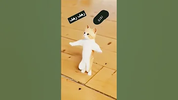 اسم رهف على طلب متابعه اسطوريه جنى روب رهف بلاكبينك حملة توصيل القناة 100 مشترك 