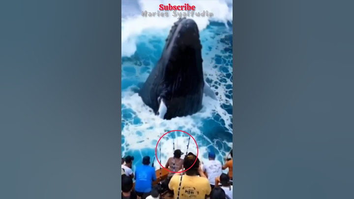Horor..!! Detik-detik ikan paus menelan nelayan..?? #viralshorts