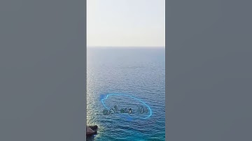 سورة الشورى و؛.كا.نك تسمعها لأ،.و.ل مر.ة💕♥️؛،💟🌸💗💓؛💞بصوت الشيخ حمزة مد،بو.ح 💛،💮💙🌼،.🌹💐❣️