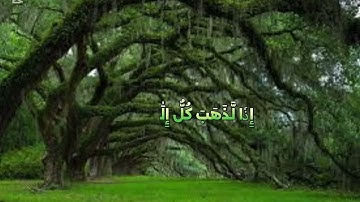 الشيخ محمد عبدالقادر خميس تلاوة خاشعة 